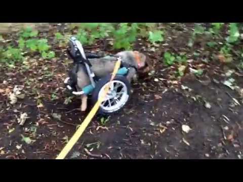 2014-08-23 Unterwegs am Kanal