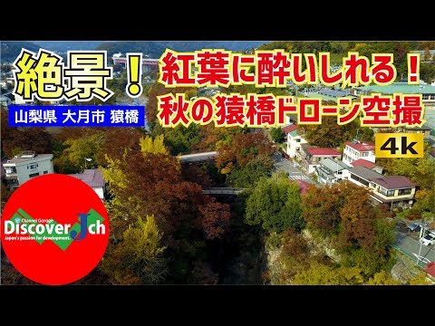 猿橋の紅葉に酔いしれる！山梨県大月市 日本三奇橋  猿橋 【ドローン 空撮 4K】もみじ ヒーリング