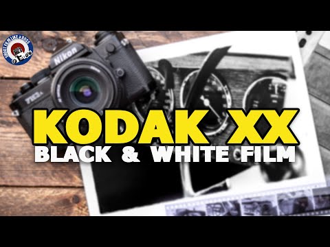 D96 any different to Rodinal? KODAK 5222 (DOUBLE X) Motion Picture Film in these two developers.
