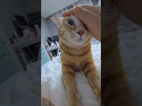 남자는 박력이지!!