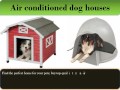 Find top quality dog house with ac only at Securepets.com