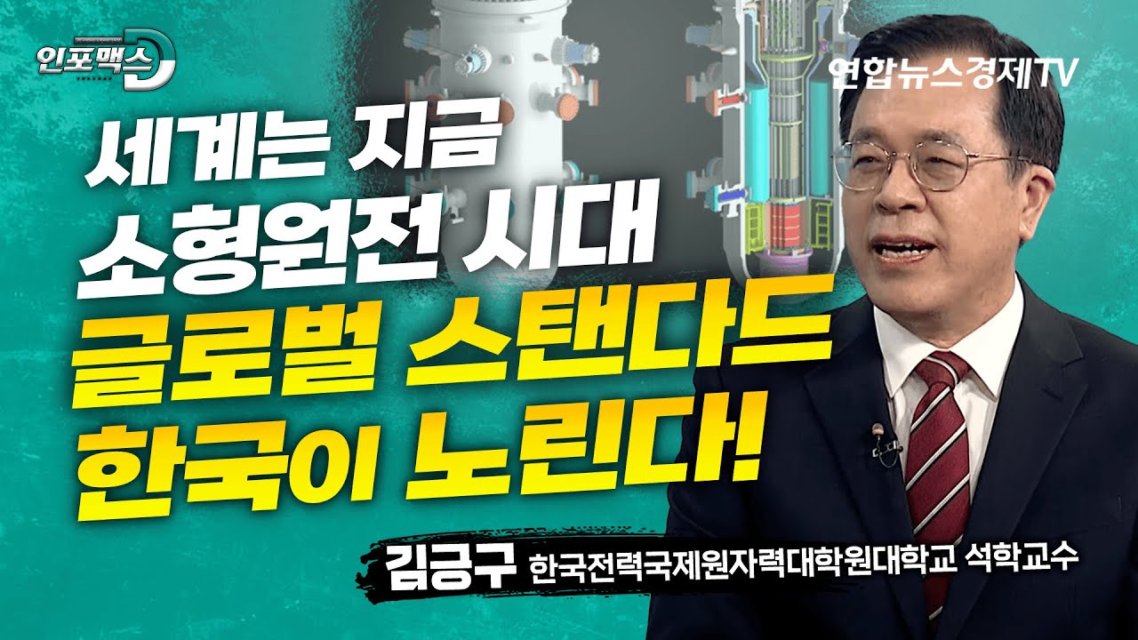 에너지 대란, 가장 현실적인 대책은 소형 원전에 있다! (김긍구 한국전력국제원자력대학원대학교 석학교수) | 인포맥스D - YouTube