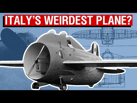 Italy’s Bizarre Flying Barrel | The Stipa Caproni [Aircraft Overview #55]