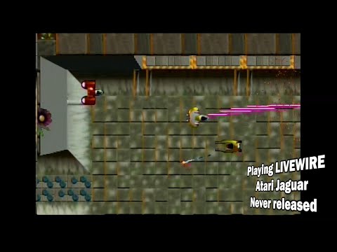 Exploring The Demos Of The Livewire Archival Project