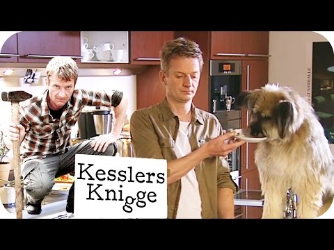 Abspülen : 10 Dinge, die Sie nicht tun sollten | Kesslers Knigge