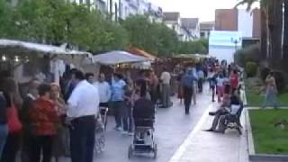 preview picture of video 'Feria del libro 2009'