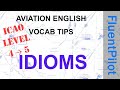 Aviation English. ICAO Level 5. Idioms - Vocab Tips. FluentPilot.RU