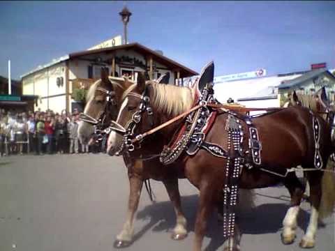Oktoberfest Opening Parade - Part II