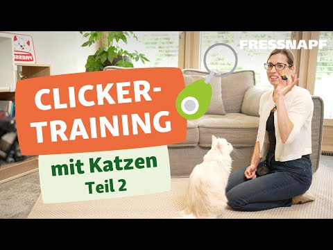 Clickertraining mit Katzen Teil 2/2