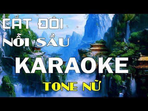 Cắt Đôi Nỗi Sầu Karaoke Tone Nữ Karaoke Lâm Organ -  Cover TĂNG DUY TÂN