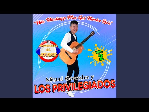 Che Gallito Causa Apyta Rei