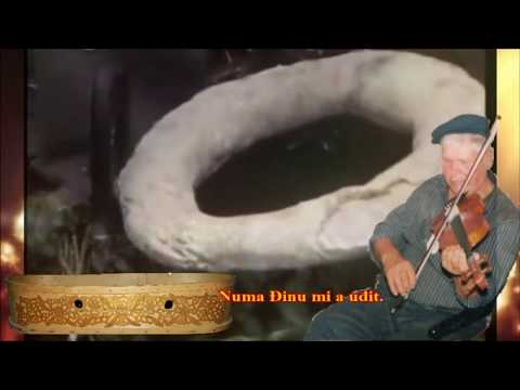 Đinu șî Voichița- Moșu Bâz (Slobodan Marković)