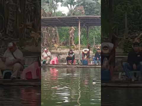 #naruto #sasuke #boruto #anime #mobilelegends