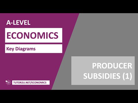 Key Diagrams - Producer Subsidies (Supply and Demand Analysis)