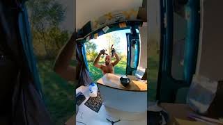 soigner une tendinite,  cataplasme  d'argile verte  et huile essentielle 😉