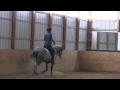Art2Ride Clinic with Will Faerber Teaching Joan Sladek
