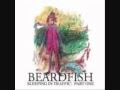 Beardfish Year Of The Knife