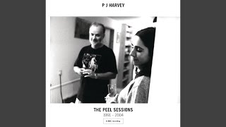 That Was My Veil (Peel 5.9.96)