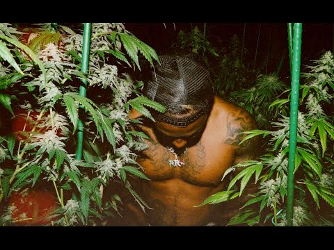 Roadrun CMoe - IDNL (I Don't Need Love)