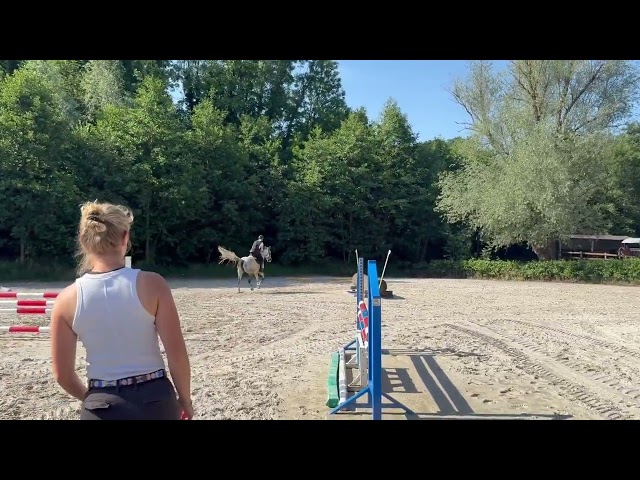 &Agrave; vendre jument 10 ans Darco X Quick star 