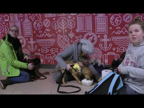 Ankunft in Hamburg am 8.1.2017