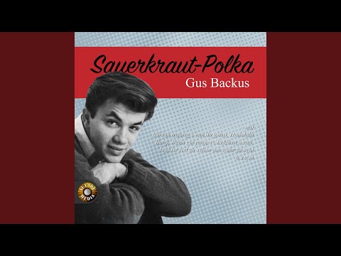 Brauner Bär und weisse Taube