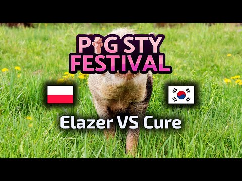 HIT! Elazer VS Cure - ZvT - PiG Sty Festival 2 - polski komentarz