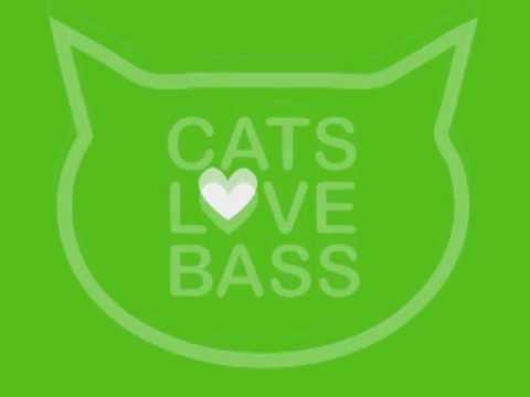 AICHULO / DIEGO INFANZON / CLB016