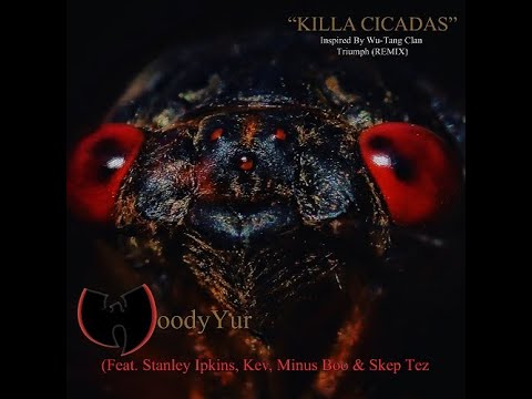 WoodyYur, Stanley Ipkins, Kev, Minus Boo & Skep Tez | Killa Cicadas | Wu-Tang Clan | Triumph (REMIX)