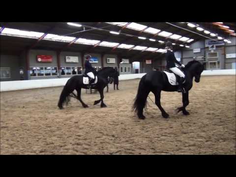 Stal Okkema's Shapiro