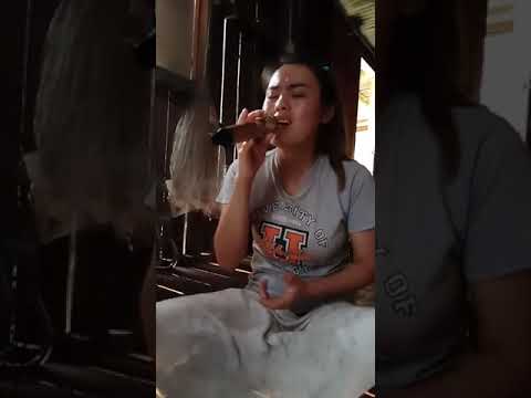 Hagadon Zou Diau ~ Henrietta David || cover by kulin