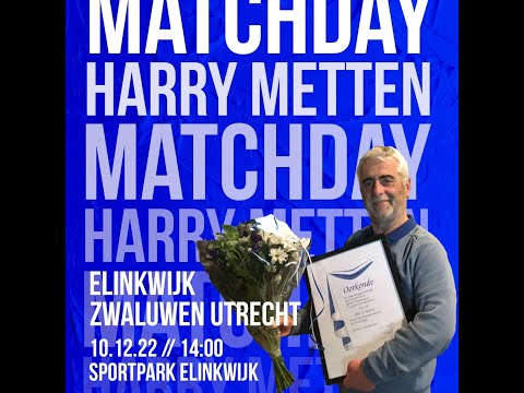 Elinkwijk - Zwaluwen