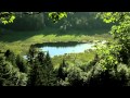 Tryo "L'hymne de nos campagnes" 