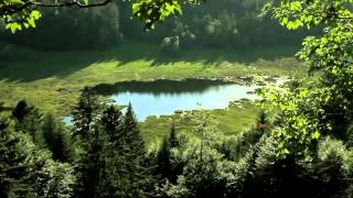 Tryo "L'hymne de nos campagnes"