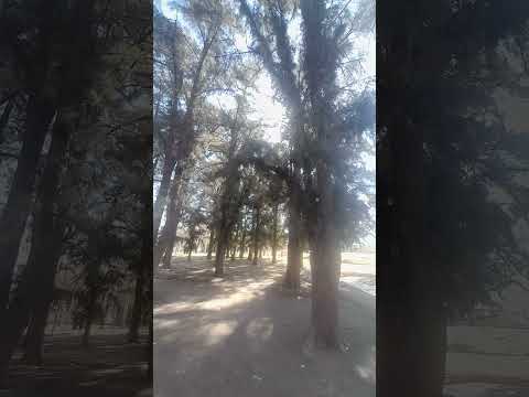Ver 11679, Acceso Este lateral sur, Guaymallen Mendoza Argentina 2026