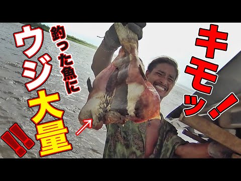 【衝撃】レッドテールを釣って食べてみたinペルー