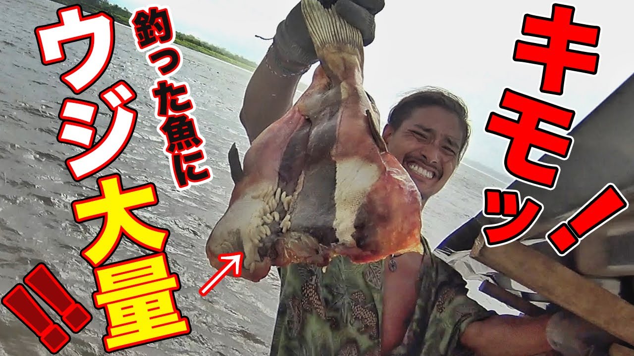 【衝撃】レッドテールを釣って食べてみたinペルー