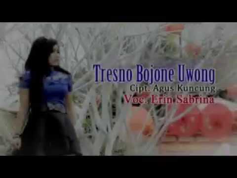 TRESNO BOJONE UWONG - ERIN SABRINA - love someone's husband ( VIDEO OFFICIAL )