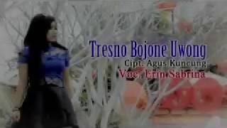 Download lagu TRESNO BOJONE UWONG - ERIN SABRINA - love someone's husband ( VIDEO  ) mp3