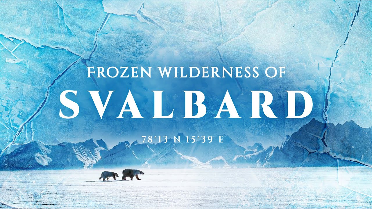 Frozen Wilderness Of Svalbard