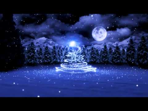 Primaria Cascioarele ecard 2014