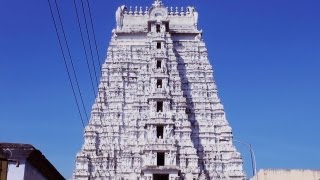 preview picture of video 'Sri Ranganathaswamy Temple, Srirangam Tamil Nadu - Biggest temple in India'