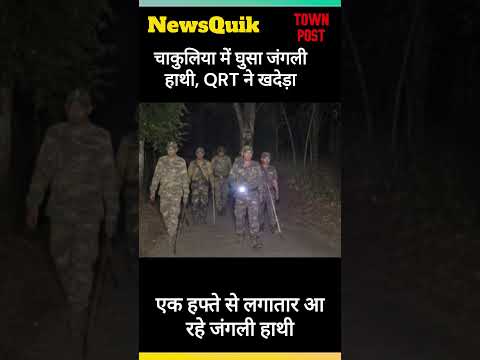 चाकुलिया में दहशत  वाजपेयी नगर में घुसा जंगली हाथी, QRT ने खदेड़ा | #wildelephant  #jharkhandnews