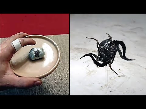 Man Records Alien Entity He Found Inside A Crashed Meteorite In Panama
