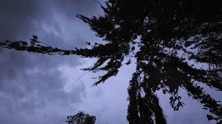 Der Herbst ist da 🌬️🍃