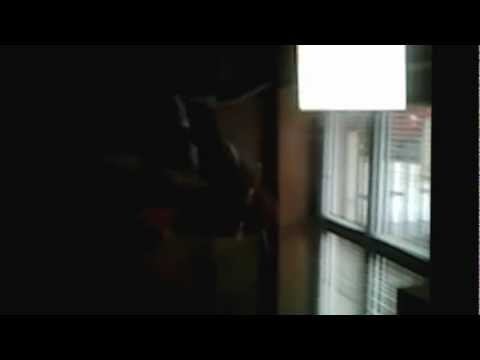 Mr.Don ft. Gjiko - ma Deep se Dipset [STUDIO SESSION] 16 BULLETS ''mixtape'' Coming Soon