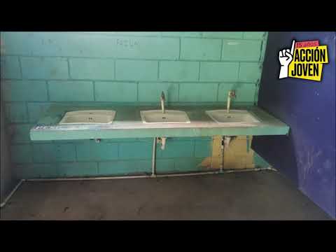 Sowing Solidarity - Colegio Playas del Coco