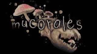 A Dark Retelling Of Little Red Riding Hood | MUCORALES