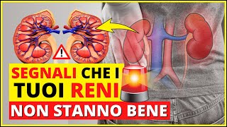 Download lagu Signs that your kidneys aren't working well - Kidney disease and symptoms of poor/underfunctionin... mp3