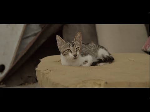 Ados - Parazit (Prod. Haşim Berk)